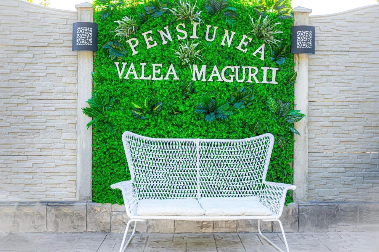 Pensiunea Valea Magurii Novaci-Străini Kültér fotó